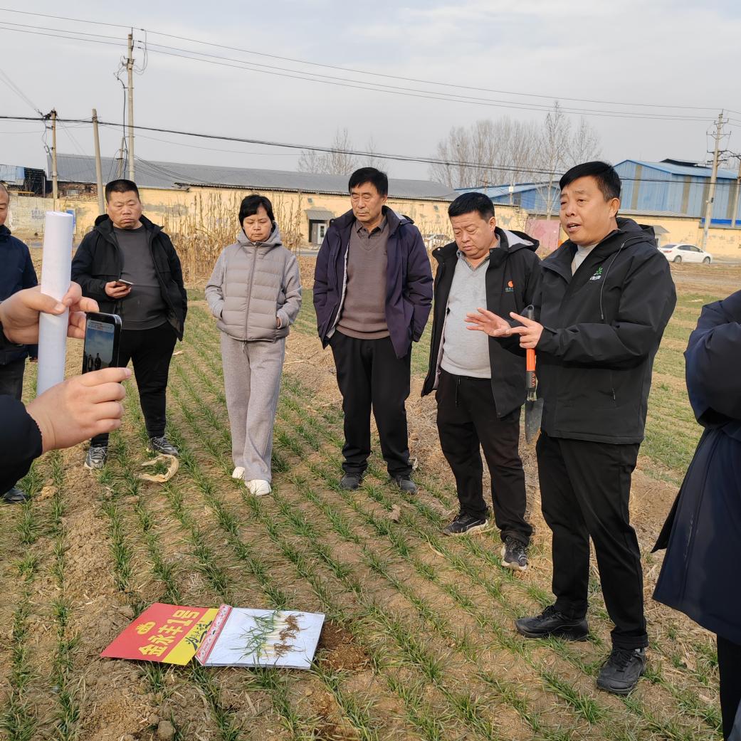 86c8ba5cbb8e48a2911a183fb2cab649