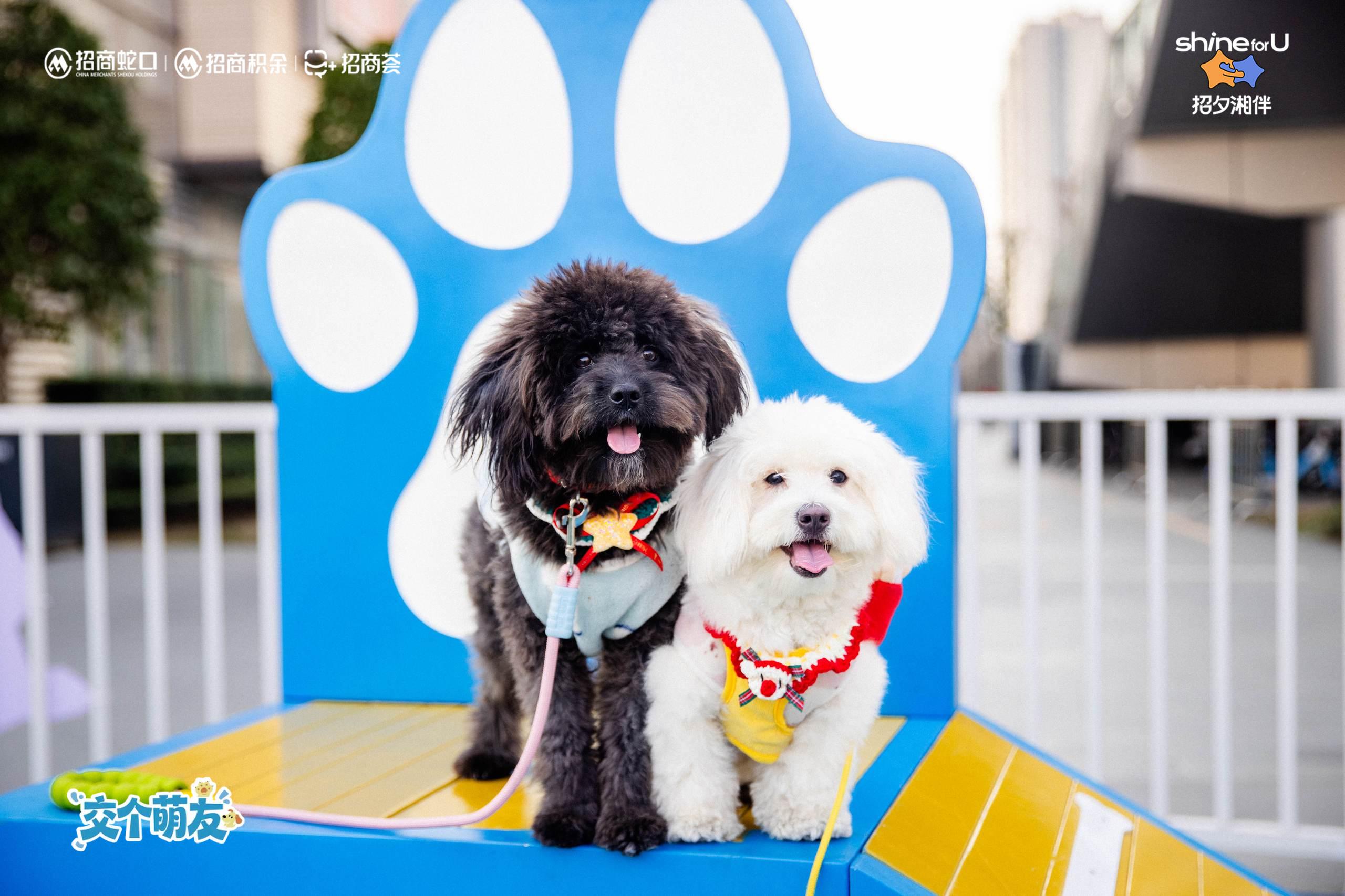 E:小茹的文件夹长沙招商荟稿件内容阅历12月长沙-阅历活动回顾照片宠物友好3.jpg宠物友好3