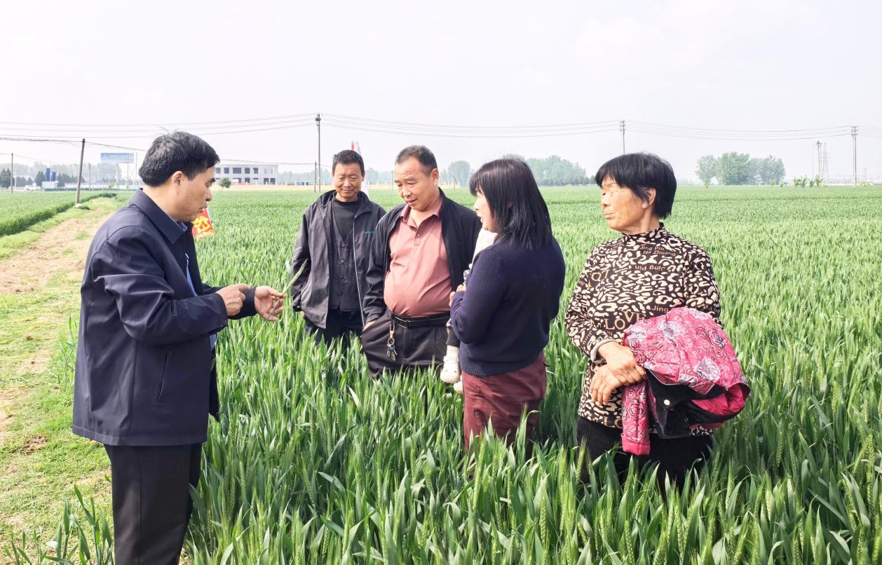 微信图片_20260417232312_734_2