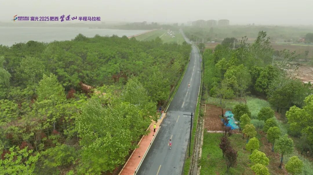 奖牌亮相！2026富光合肥紫蓬山半程马拉松赛事发布会圆满举行